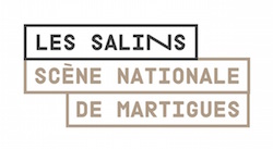 theatre des salins martigues